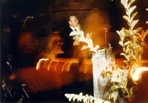 Blurry figure behind a podium with plants.