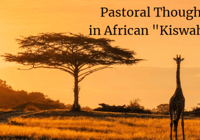 Giraffe and tree at sunset, text overlay.